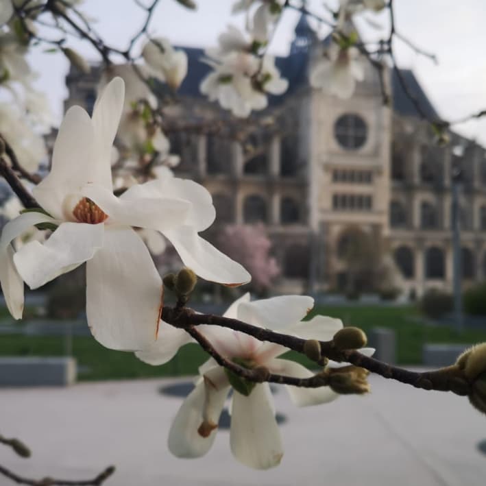 Saint-Eustache